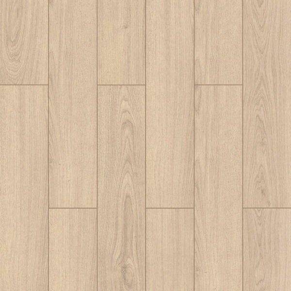 Sand Oak - AN018