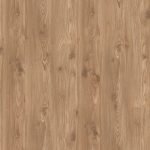 Gold Pine - AS008