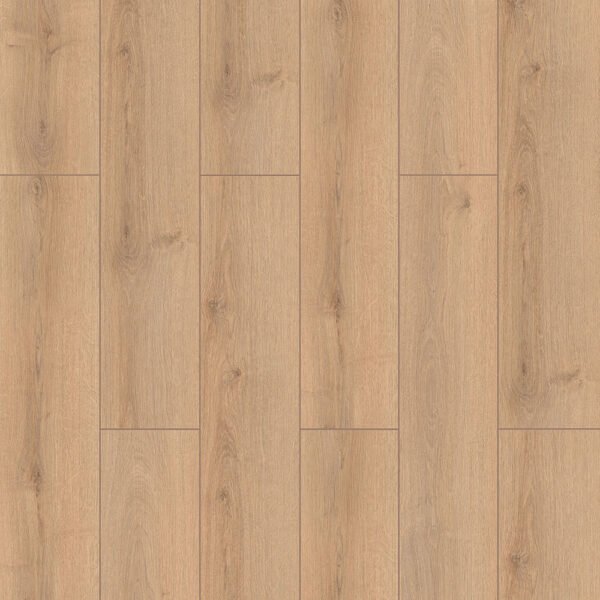 Sahra Oak - ASX07