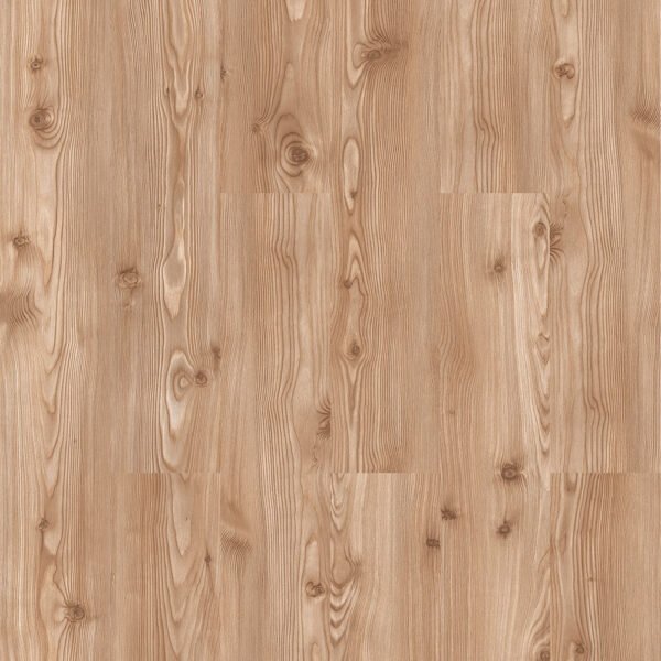 Gold Pine - KT215