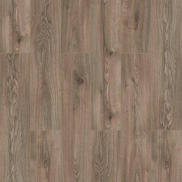 Delaware Oak  - FRV003